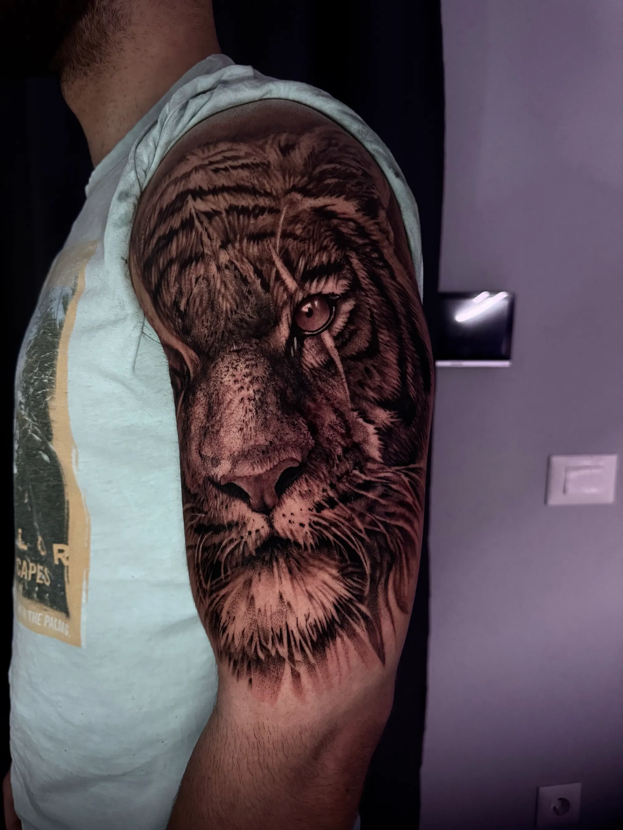 Primer: Realistična tetovaža tigra na ramenu, Dropz Tattoo Studio Niš