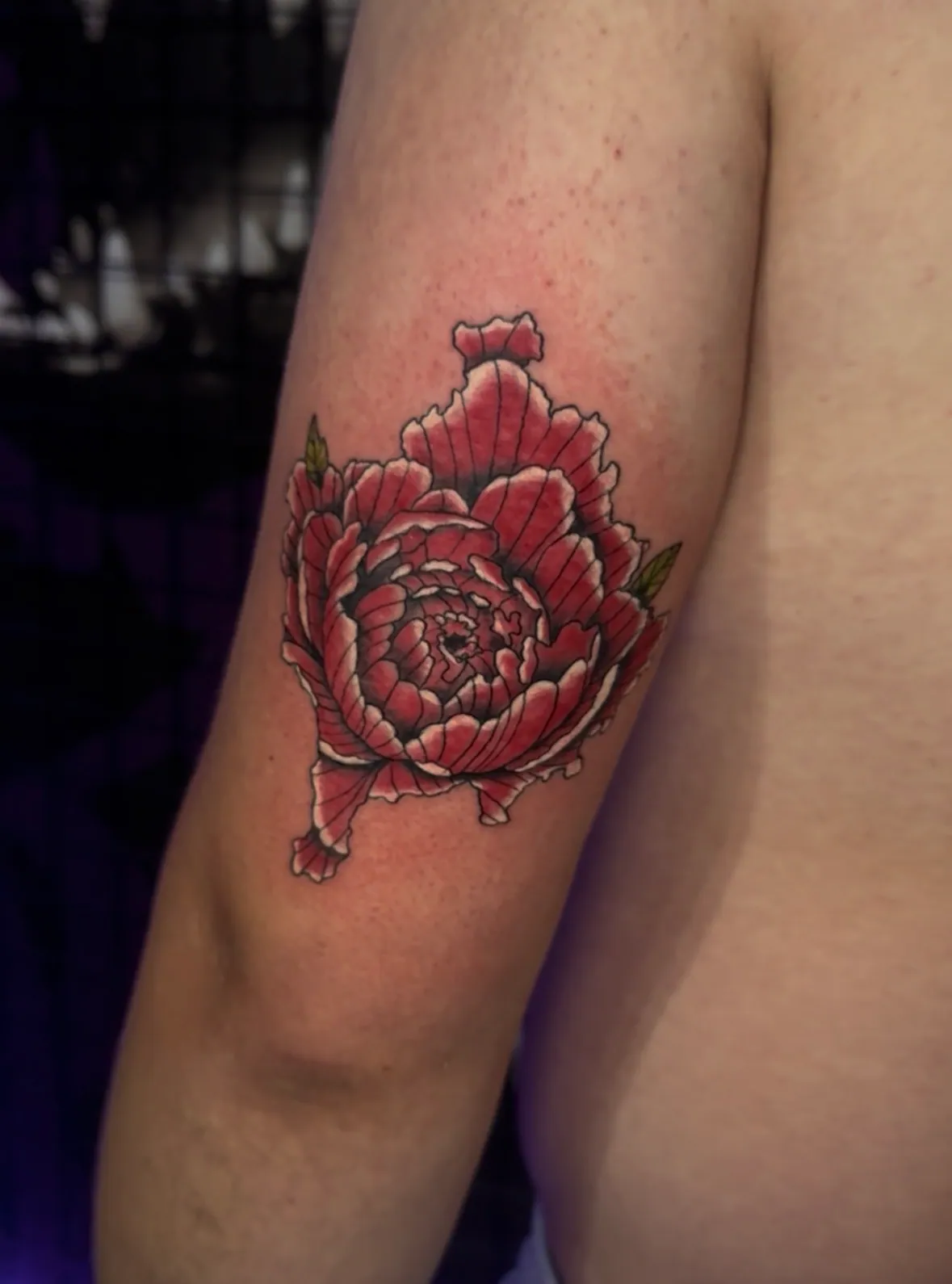 Tetovaža u boji crvenog božura oblikovanog kao obrisi Kosova,  Dropz Tattoo Studio Niš